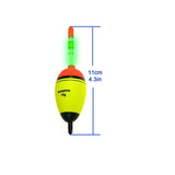 Night Glow Fishing Float 2pcs 5g 15g 30g 40g EVA Fishing Floats Lighting Floats For Night Fishing