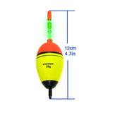 Night Glow Fishing Float 2pcs 5g 15g 30g 40g EVA Fishing Floats Lighting Floats For Night Fishing