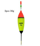 2 Pcs/Lot 10g 20g 30g EVA Luminous Fishing Float Long Vertical Night Lighting Fishing Floats Bobber